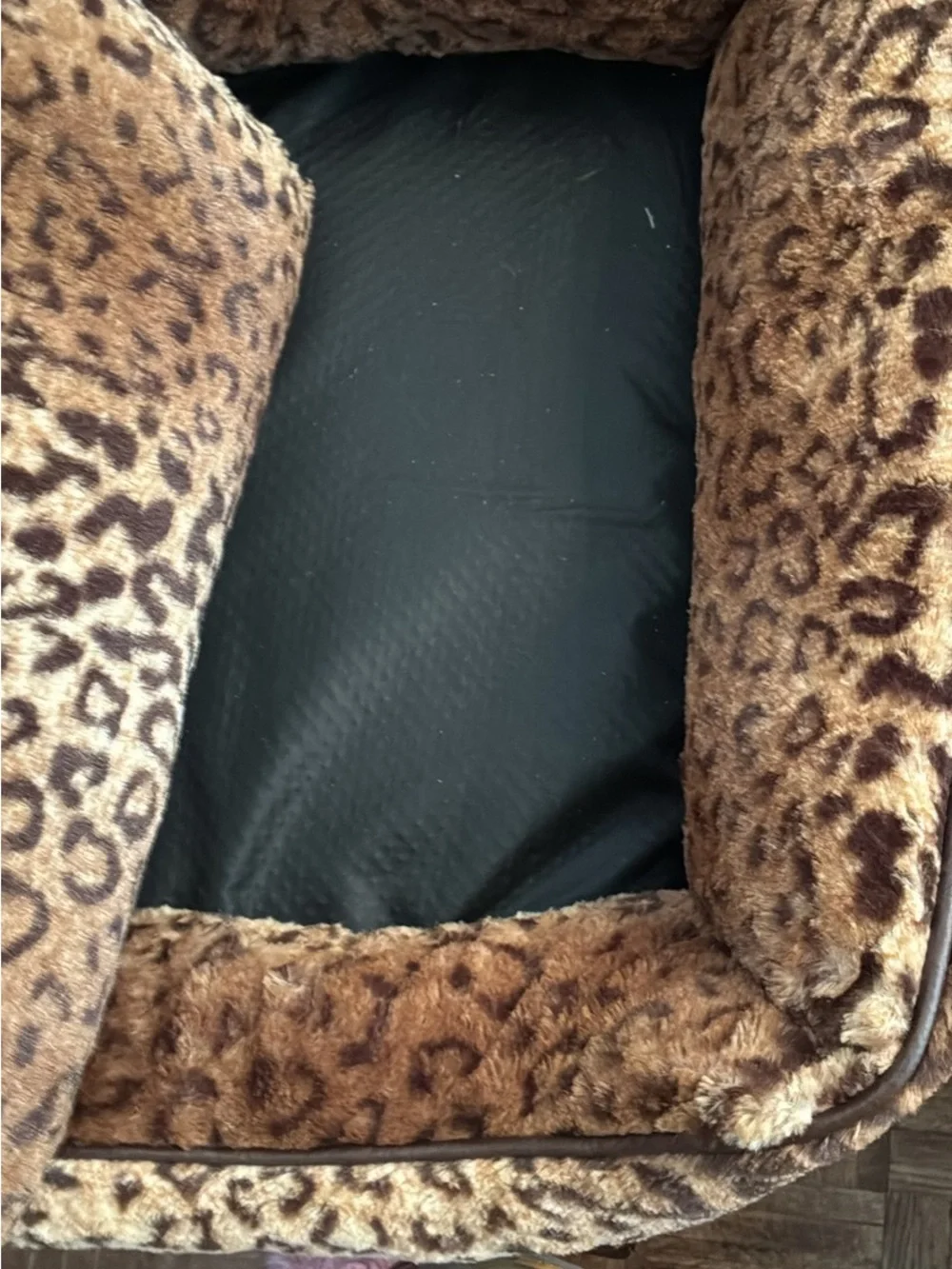 Bailey and Bella soft leopard